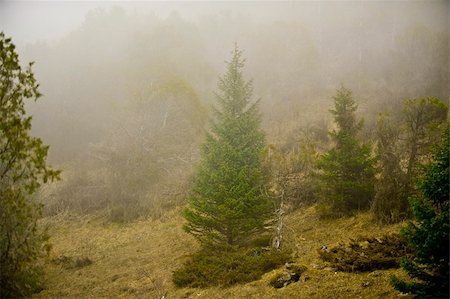 simsearch:400-04727178,k - fog in the mountains Foto de stock - Super Valor sin royalties y Suscripción, Código: 400-05217581