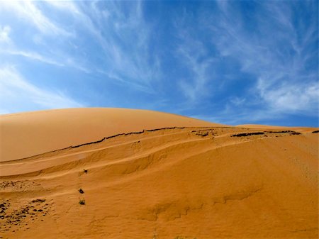 safari destination - Dunes with Beautiful Blue Sky Photographie de stock - Aubaine LD & Abonnement, Code: 400-05218429