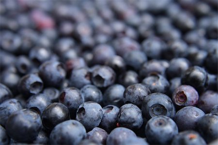 simsearch:400-06698338,k - fresh blueberries background as nice food background Stock Photo - Budget Royalty-Free & Subscription, Code: 400-05210009