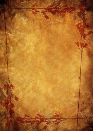 simsearch:400-05287751,k - vintage background image with interesting texture, a flowers and plenty of space for text 17 Fotografie stock - Microstock e Abbonamento, Codice: 400-05210384