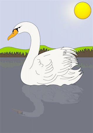 simsearch:400-08072584,k - Illustration of a swan Foto de stock - Super Valor sin royalties y Suscripción, Código: 400-05210748