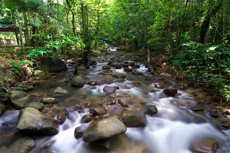 simsearch:400-06426120,k - natural green waterfall Photographie de stock - Aubaine LD & Abonnement, Code: 400-05210824