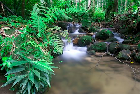 simsearch:400-06426120,k - natural green waterfall Photographie de stock - Aubaine LD & Abonnement, Code: 400-05210879