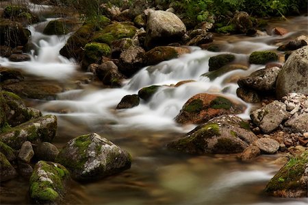 Small mountain river inside in the forest Fotografie stock - Microstock e Abbonamento, Codice: 400-05212013