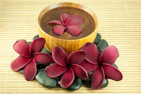 simsearch:400-04519023,k - Tropical Frangipani  arrange in a spa and wellness concept Stock Photo - Budget Royalty-Free & Subscription, Code: 400-05224281