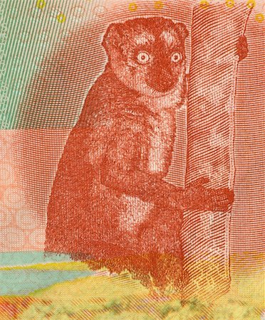 simsearch:400-05156209,k - Lemur on 500 Francs 2006 Banknote from Comoros Stock Photo - Budget Royalty-Free & Subscription, Code: 400-05224768