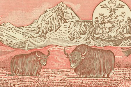 simsearch:400-05384689,k - Pair of Yaks on 5 Rupees 1987 Banknote from Nepal. Stock Photo - Budget Royalty-Free & Subscription, Code: 400-05224779