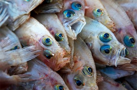 flounder - Fine fish (flounder) on a counter of shop Stock Photo - Budget Royalty-Free & Subscription, Code: 400-05226839