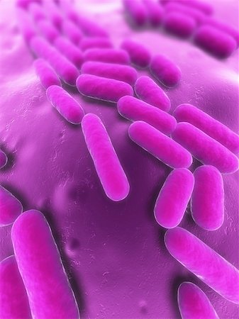3d rendered close up of some isolated bacteria Stock Photo - Budget Royalty-Free & Subscription, Code: 400-05227603