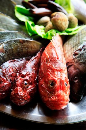 photos of a fish frozen business - Fresh fish onon a metal tray for sale Photographie de stock - Aubaine LD & Abonnement, Code: 400-05227853