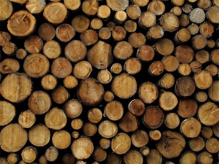 Stacked logs background Stock Photo - Budget Royalty-Free & Subscription, Code: 400-05227920