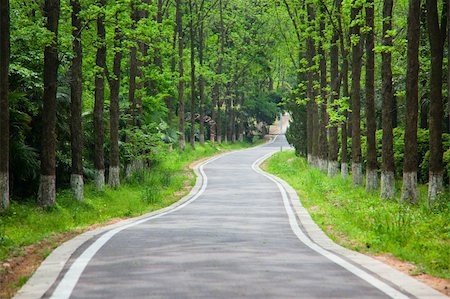 simsearch:400-08071243,k - Country road winding its way through a tranquil national park. Adobe RGB color space used Stock Photo - Budget Royalty-Free & Subscription, Code: 400-05228073