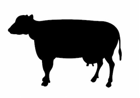 Silhouette illustration of a cow on a white background Stock Photo - Budget Royalty-Free & Subscription, Code: 400-05229197