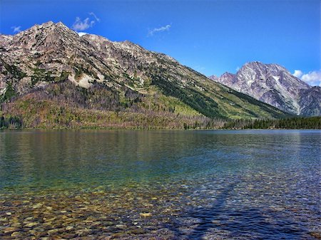Nature of Grand Teton National Park, Wyoming Foto de stock - Super Valor sin royalties y Suscripción, Código: 400-05221406