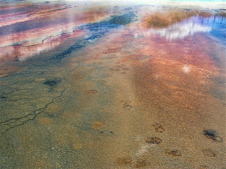 Smoky Geyser in the Yellowstone National Park Stock Photo - Budget Royalty-Free & Subscription, Code: 400-05221408