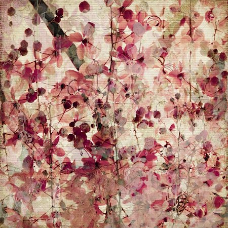 Grunge pink blossom print on ribbed bamboo antique background Photographie de stock - Aubaine LD & Abonnement, Code: 400-05222500