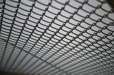 Wire netting Fotografie stock - Microstock e Abbonamento, Codice: 400-05222741