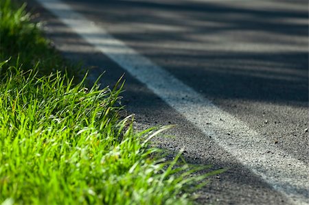 simsearch:400-07524978,k - Close up of a road in the green Photographie de stock - Aubaine LD & Abonnement, Code: 400-05234230