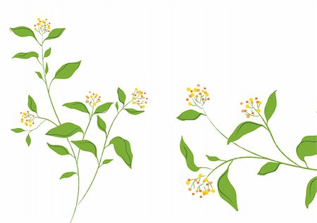 simsearch:400-04700655,k - illustration drawing of beautiful flower in a white background Stockbilder - Microstock & Abonnement, Bildnummer: 400-05235160