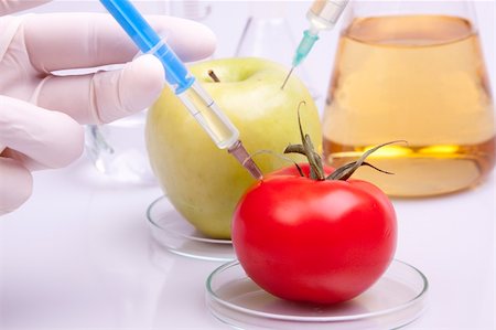 Genetically modified food in laboratory Foto de stock - Super Valor sin royalties y Suscripción, Código: 400-05235330