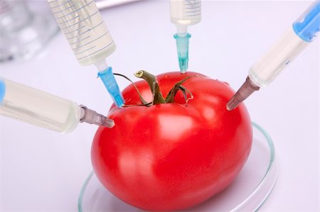 Genetically modified food in laboratory Foto de stock - Super Valor sin royalties y Suscripción, Código: 400-05235333