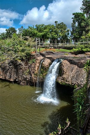 simsearch:400-05680546,k - Paronella Park Vegetation in Queensland, Australia Stock Photo - Budget Royalty-Free & Subscription, Code: 400-05236143