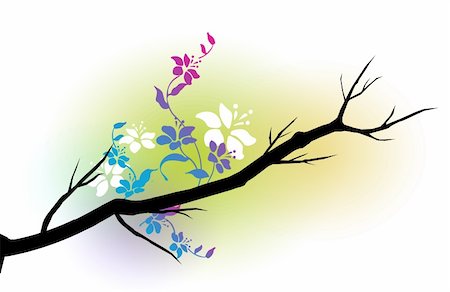 simsearch:400-04700655,k - illustration drawing of a branch of beautiful flower Stockbilder - Microstock & Abonnement, Bildnummer: 400-05236580