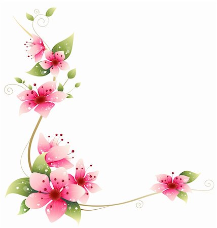 simsearch:400-04697736,k - drawing of beautiful  sakura flower in a white background Photographie de stock - Aubaine LD & Abonnement, Code: 400-05236602