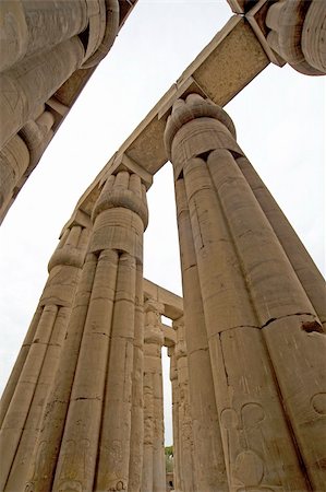 Columns at Luxor Temple isolated on white Stockbilder - Microstock & Abonnement, Bildnummer: 400-05236799