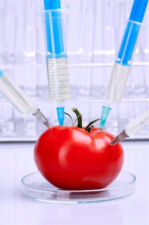 Genetically modified food in laboratory Foto de stock - Super Valor sin royalties y Suscripción, Código: 400-05237185