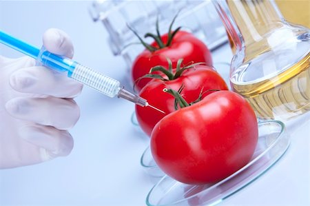 Genetically modified food in laboratory Foto de stock - Super Valor sin royalties y Suscripción, Código: 400-05237186