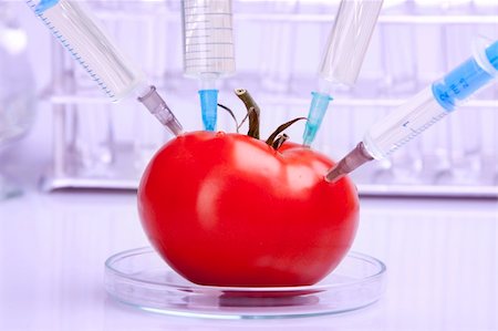 Genetically modified food in laboratory Foto de stock - Super Valor sin royalties y Suscripción, Código: 400-05237455