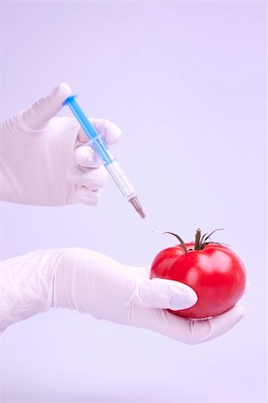 Genetically modified food in laboratory Foto de stock - Super Valor sin royalties y Suscripción, Código: 400-05237457