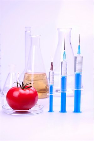 Genetically modified food in laboratory Foto de stock - Super Valor sin royalties y Suscripción, Código: 400-05237453