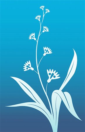 simsearch:400-04697736,k - drawing of beautiful white flower in a blue background Photographie de stock - Aubaine LD & Abonnement, Code: 400-05237993