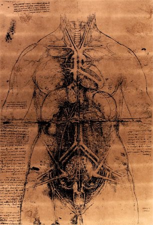 simsearch:400-04757393,k - Photo of the Vitruvian Man by Leonardo Da Vinci from 1492 on textured background. Foto de stock - Super Valor sin royalties y Suscripción, Código: 400-05238506