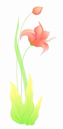 simsearch:400-04700655,k - drawing of beautiful flower in a white background Stock Photo - Budget Royalty-Free & Subscription, Code: 400-05238619