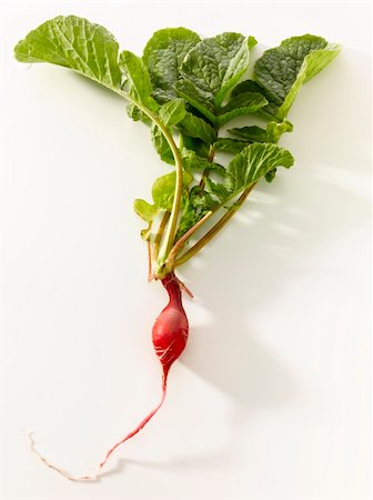 Fresh looking radish isolated on white Photographie de stock - Aubaine LD & Abonnement, Code: 400-05238809