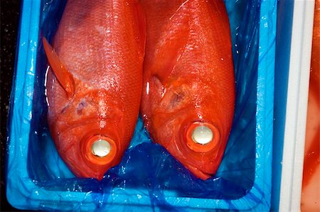 two red fish at tokyo fish market Stockbilder - Microstock & Abonnement, Bildnummer: 400-05238839