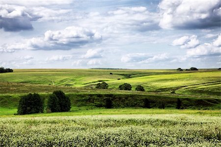 simsearch:400-04018118,k - Sunny summer day and green field and blue sky Photographie de stock - Aubaine LD & Abonnement, Code: 400-05231421