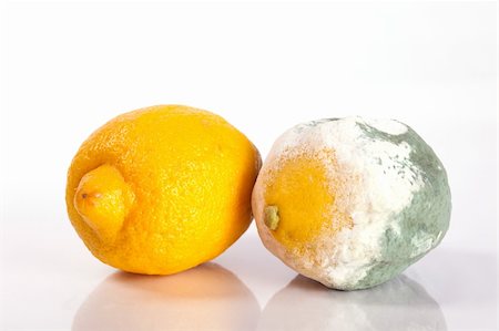 decaying fruit photography - Fresh and rotten lemons Stock Photo - Budget Royalty-Free & Subscription, Code: 400-05232149