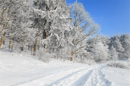 simsearch:400-05063238,k - winter landscape, path in the snow leading to a forest Stock Photo - Budget Royalty-Free & Subscription, Code: 400-05232622
