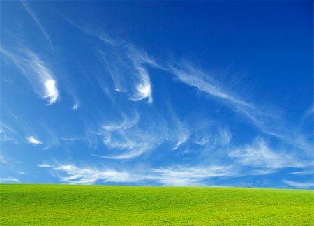 field on a background of the blue sky Stock Photo - Budget Royalty-Free & Subscription, Code: 400-05233314