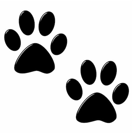 simsearch:400-04327046,k - 3d cat foot prints isolated in white Photographie de stock - Aubaine LD & Abonnement, Code: 400-05233481