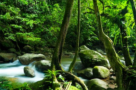 simsearch:400-05273059,k - A mountain river with stream falling into it. Stock Photo - Budget Royalty-Free & Subscription, Code: 400-05233610