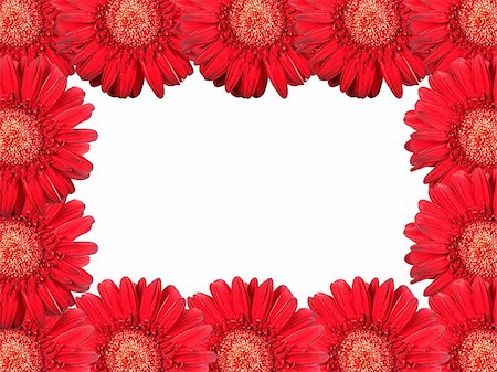 simsearch:400-06095720,k - Abstract frame with red flowers. Close-up. Studio photography. Stock Photo - Budget Royalty-Free & Subscription, Code: 400-05233629