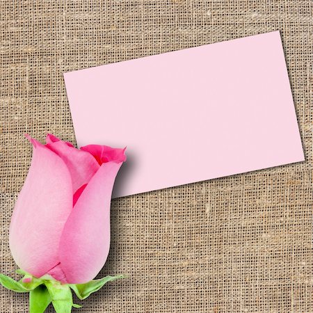 simsearch:400-06095720,k - One pink rose and message-card on textile background. Close-up. Studio photography. Stock Photo - Budget Royalty-Free & Subscription, Code: 400-05233896
