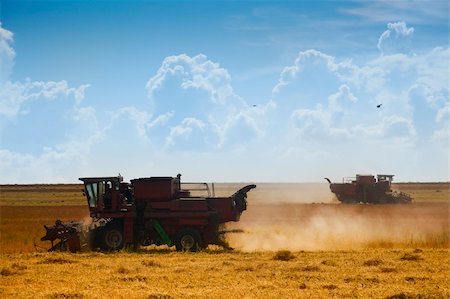 Harvest time / A combine harvester working in a  field Stock Photo - Budget Royalty-Free & Subscription, Code: 400-05244295