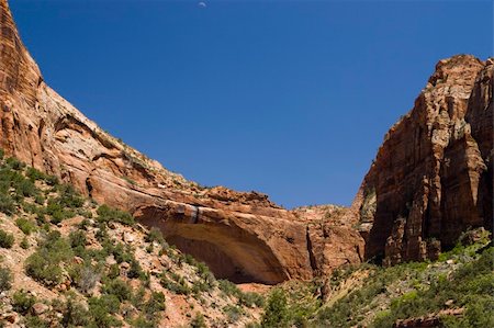 simsearch:400-07316198,k - red rocks mountain in the Zion canyon national park Foto de stock - Super Valor sin royalties y Suscripción, Código: 400-05244721