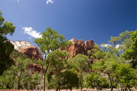 Spectacular landscape of the Zion natural park in Utah, USA Stock Photo - Budget Royalty-Free & Subscription, Code: 400-05244723